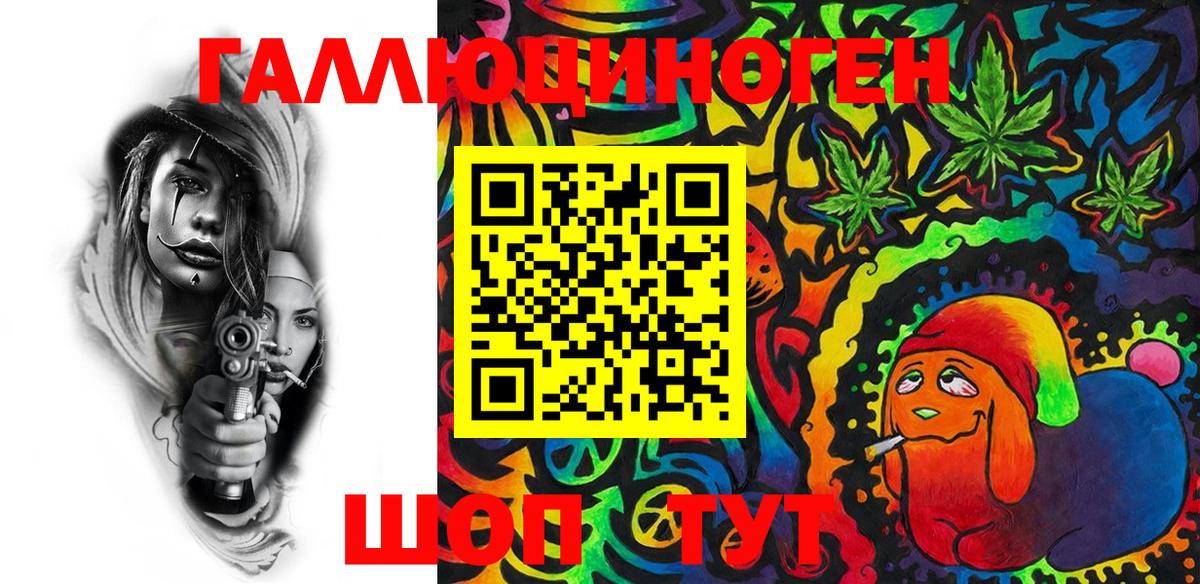 Галлюциногенные грибы Psilocybine cubensis Саранск