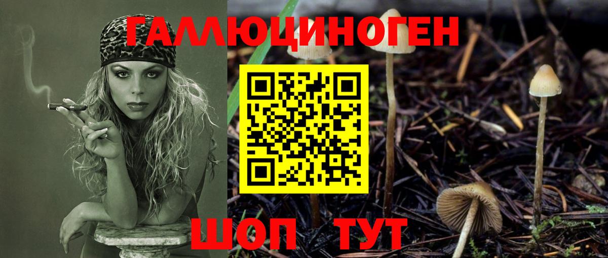 Саранск  Псилоцибиновые грибы MAGIC MUSHROOMS  Вход с VPN  Псилоцибиновые грибы мухоморы 